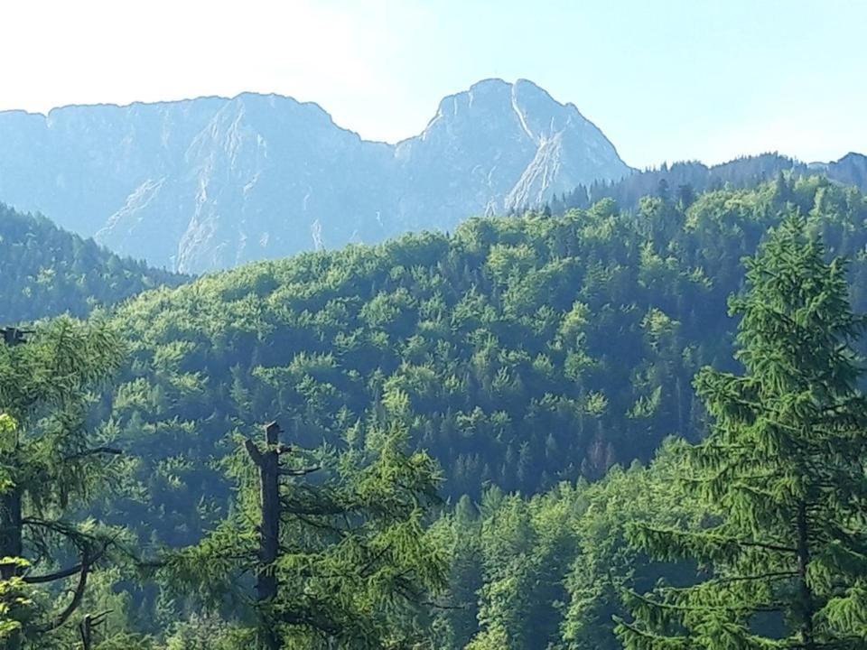 Kwatery Prywatne-Romanowka Zakopane Esterno foto