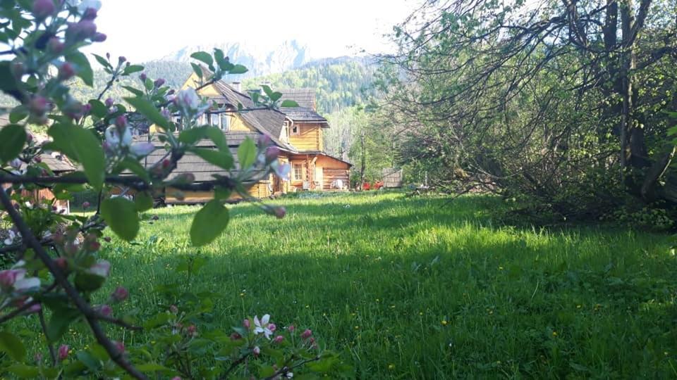 Kwatery Prywatne-Romanowka Zakopane Esterno foto