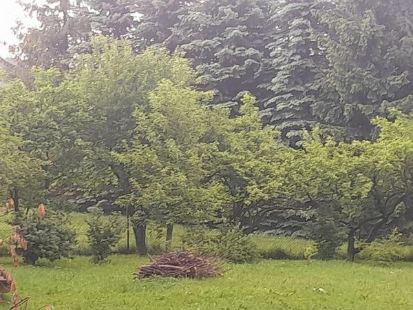 Kwatery Prywatne-Romanowka Zakopane Esterno foto