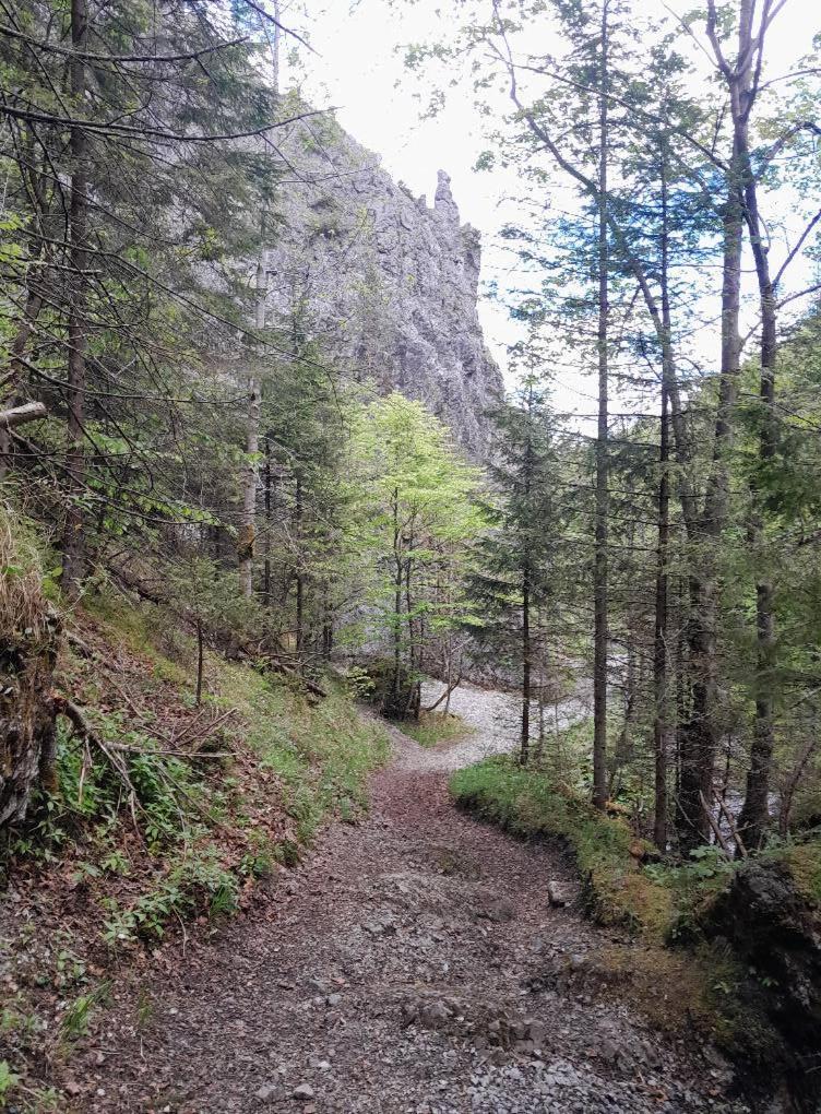 Kwatery Prywatne-Romanowka Zakopane Esterno foto