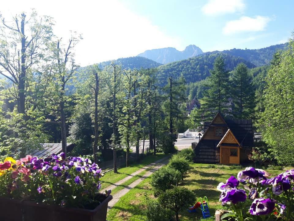 Kwatery Prywatne-Romanowka Zakopane Esterno foto
