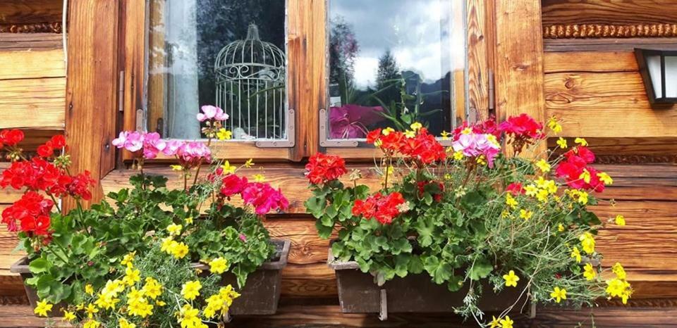 Kwatery Prywatne-Romanowka Zakopane Esterno foto